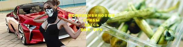 Альфа ПВП Липки